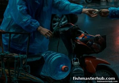 捕鱼达人2权威指南：TRC20提现未到账与免费体验金使用全解