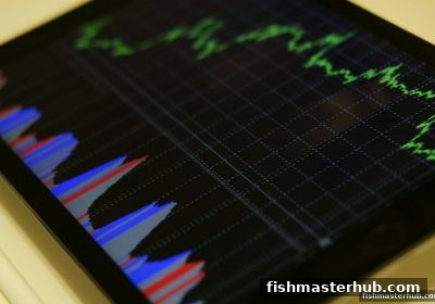 捕鱼达人2数据整合指南：从碎片信息到智能决策的数字娱乐新视角