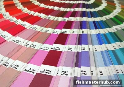 捕鱼达人2教你读懂冷热号：不同时间段的统计规律与实战技巧