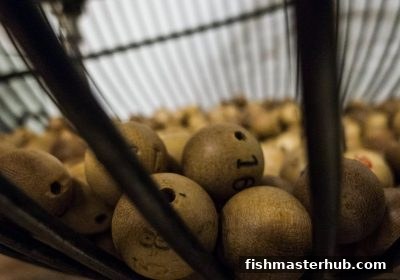 捕鱼达人2带你解锁时时彩选号技巧与WPT扑克策略的理性玩法