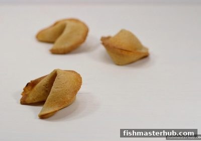 捕鱼达人2的智慧：彩票选号与炮台策略的融合之道
