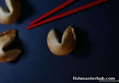 捕鱼达人2深度解析：高频与双色数字玩法的热门号码挖掘策略