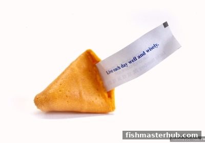 捕鱼达人2带你洞悉快乐十分走势与菲律宾牌照核心要点
