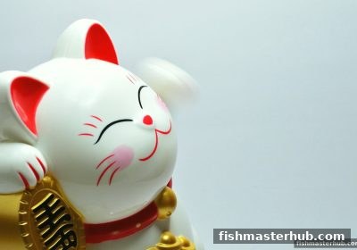 从捕鱼达人2的瞄准技巧到大乐透中奖策略：概率、选号与欧洲平台深度解析