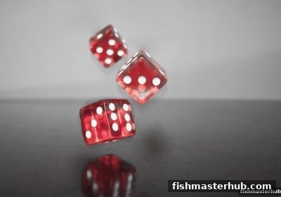 捕鱼达人2带你玩转北京赛车：号码选择技巧与资金管理与数据分析