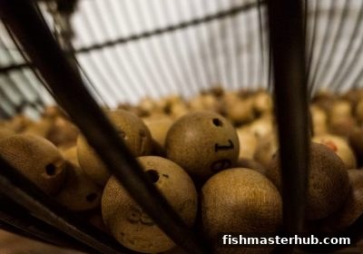 捕鱼达人2教你玩转数字游戏：和值与跨度的深度解析