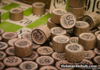 从捕鱼达人2看彩票资金分配：公益金去向与理性参与指南