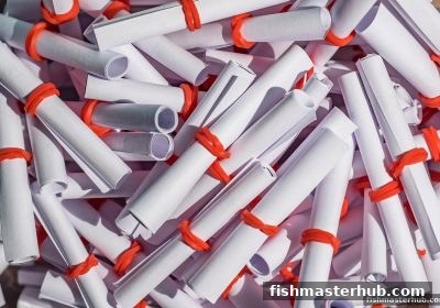 彩票策略新思维：捕鱼达人2教你用理性游戏收获乐趣