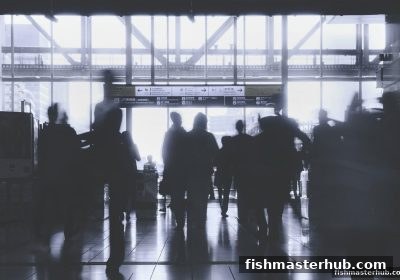 咪牌百家乐深度解析：捕鱼达人2带你看懂官方App的合规与概率