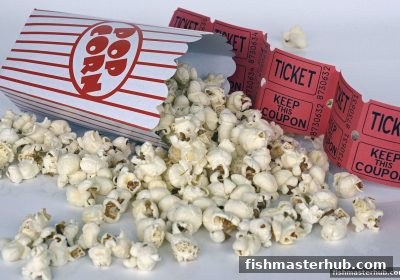 捕鱼达人2带你玩转亚盘与彩票术语：从入门到实战的深度解析