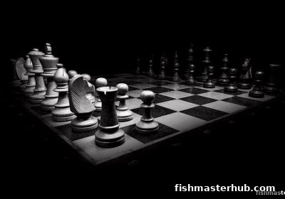 捕鱼达人2揭秘：牛牛游戏止损策略的科学资金与风险管理
