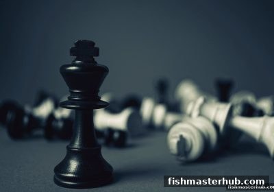 捕鱼达人2深度剖析：棋牌桌游如何改写社交与智力竞技规则