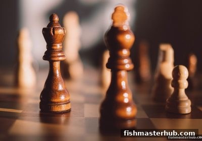 捕鱼达人2带你探索飞禽走兽棋牌：玩法对比与理性参与指南