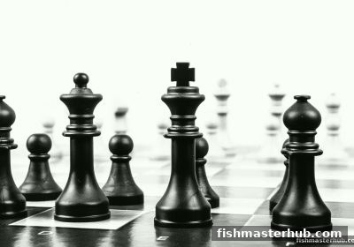 围棋实战攻略：从零基础到段位进阶，捕鱼达人2带你玩转黑白世界