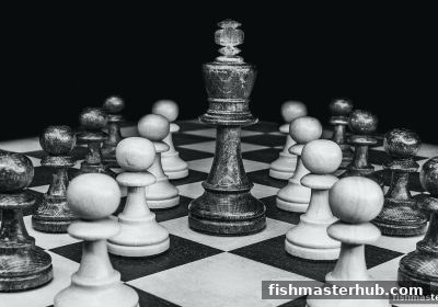 捕鱼达人2实战课堂：深度解析围棋打劫与反打的制胜密码