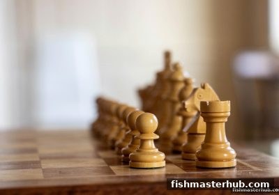 捕鱼达人2带你玩转国际象棋：棋盘布局与棋子走法全解析
