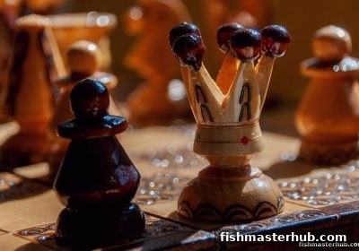 捕鱼达人2启示录：ERC20代币如何革新围棋生态与极速时时彩思维