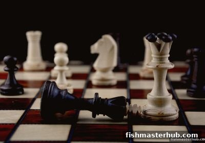 捕鱼达人2视角：以太坊技术如何重塑棋牌竞技新生态