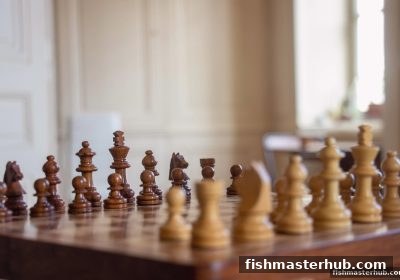 捕鱼达人2深度解析：棋牌知识竞赛与文化活动的智慧盛宴