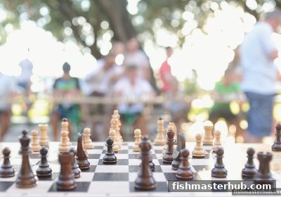 捕鱼达人2带你解锁围棋胜负判定与基本战略：从入门到实战心法