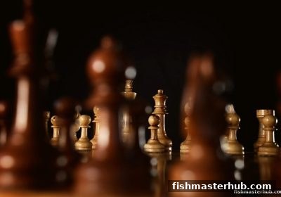 从捕鱼达人2到围棋入门：棋盘规则与胜负判定全解析