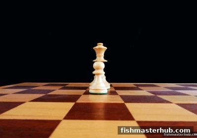 捕鱼达人2带你解密：咪牌——麻将术语中的手感绝技