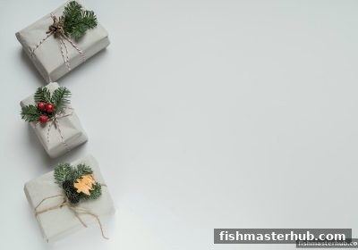 捕鱼达人2专属攻略：PG老虎机返水返利活动全解析与实操技巧