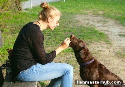 世界杯赛程玩法与充值红利指南：捕鱼达人2带你玩转赛事