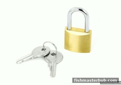 捕鱼达人2玩家必看：镜像站合规性全解析