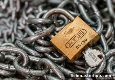 捕鱼达人2视角下的百家乐平台跑路真相：原因、案例与防范指南
