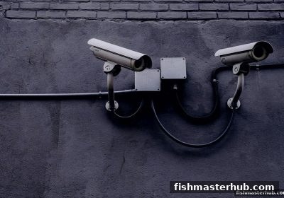 从捕鱼达人2玩家视角，看水果机游戏权益维护的实战策略