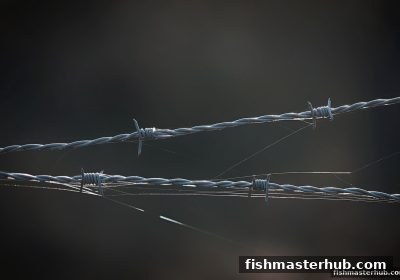 捕鱼达人2玩家必读：深度解析安全技术防护与新手福利获取法则