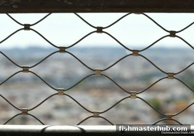 捕鱼达人2玩家必读：马耳他游戏牌照申请全攻略与合规要点