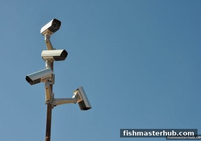 捕鱼达人2玩家必知：提款被拒的幕后真相与破解指南